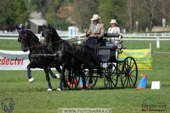 Kladruby 2018 - neděle parkur