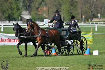 Kladruby 2018 - neděle parkur