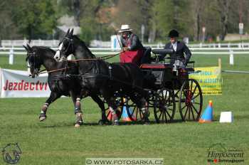 Kladruby 2018 - neděle parkur