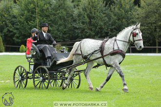 MČR Pardubice 2017 - drezury