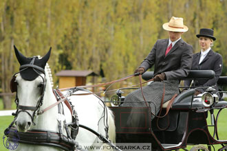 MČR Pardubice 2017 - drezury