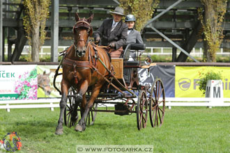 MČR Pardubice 2017 - drezury