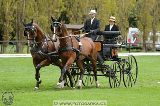 MČR Pardubice 2017 - drezury