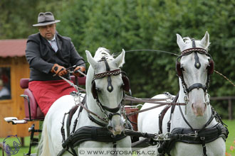 MČR Pardubice 2017 - drezury