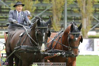 MČR Pardubice 2017 - drezury