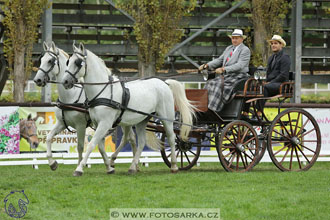 MČR Pardubice 2017 - drezury