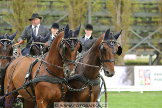 MČR Pardubice 2017 - drezury