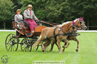 MČR Pardubice 2017 - drezury