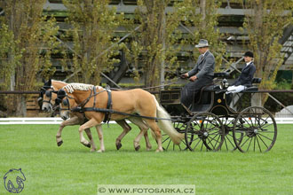 MČR Pardubice 2017 - drezury