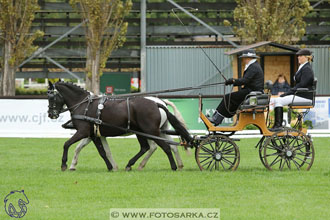 MČR Pardubice 2017 - drezury