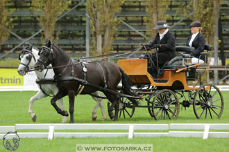 MČR Pardubice 2017 - drezury