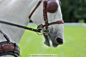 MČR Pardubice 2017 - drezury