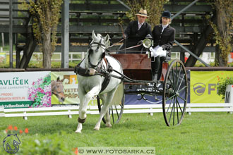 MČR Pardubice 2017 - drezury