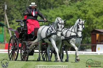 Mezöhegyes 2018 - drezury