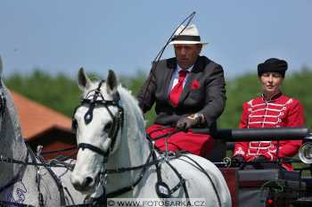 Mezöhegyes 2018 - drezury