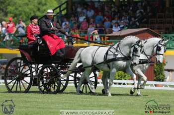 Mezöhegyes 2018 - drezury