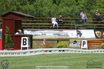 Mezöhegyes 2018 - drezury