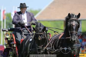 Mezöhegyes 2018 - drezury