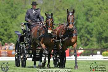 Mezöhegyes 2018 - drezury