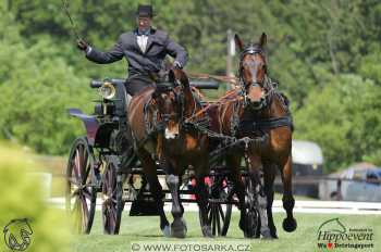 Mezöhegyes 2018 - drezury