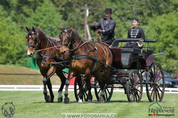 Mezöhegyes 2018 - drezury