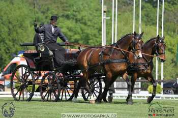 Mezöhegyes 2018 - drezury