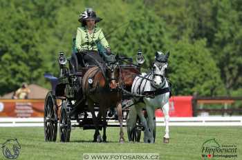 Mezöhegyes 2018 - drezury