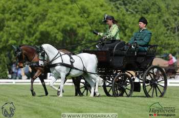 Mezöhegyes 2018 - drezury