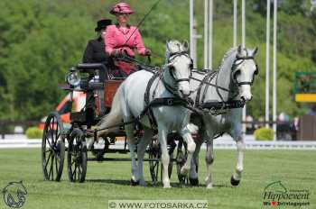 Mezöhegyes 2018 - drezury