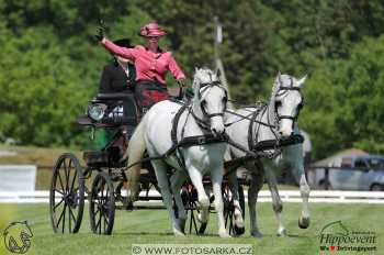 Mezöhegyes 2018 - drezury