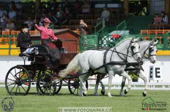 Mezöhegyes 2018 - drezury