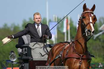 Mezöhegyes 2018 - drezury