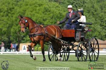 Mezöhegyes 2018 - drezury