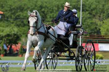 Mezöhegyes 2018 - drezury