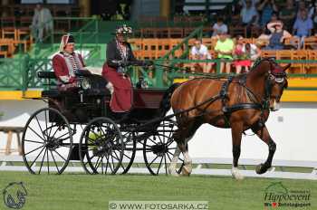 Mezöhegyes 2018 - drezury