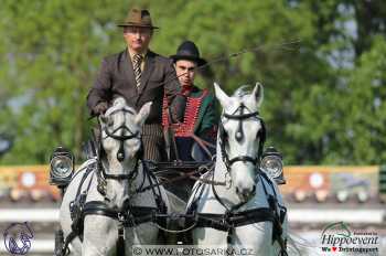 Mezöhegyes 2018 - drezury