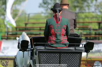 Mezöhegyes 2018 - drezury