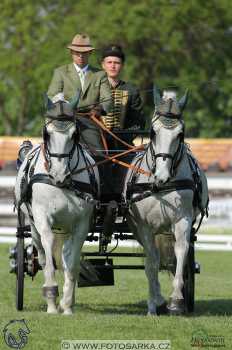 Mezöhegyes 2018 - drezury