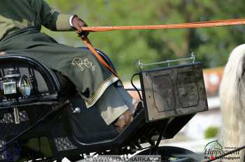 Mezöhegyes 2018 - drezury