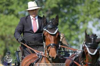 Mezöhegyes 2018 - drezury