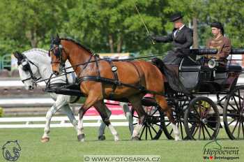 Mezöhegyes 2018 - drezury