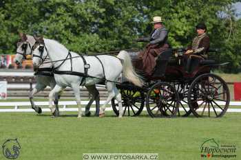 Mezöhegyes 2018 - drezury
