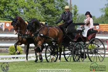 Mezöhegyes 2018 - drezury