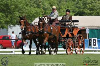 Mezöhegyes 2018 - drezury