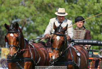 Mezöhegyes 2018 - drezury