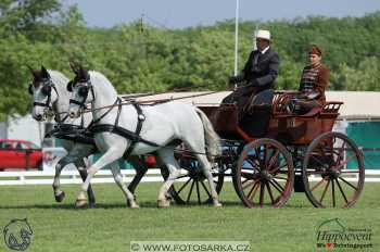 Mezöhegyes 2018 - drezury