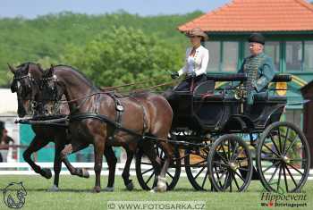Mezöhegyes 2018 - drezury
