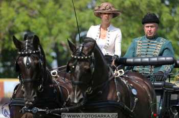 Mezöhegyes 2018 - drezury