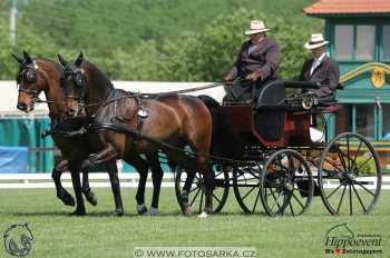 Mezöhegyes 2018 - drezury