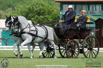 Mezöhegyes 2018 - drezury